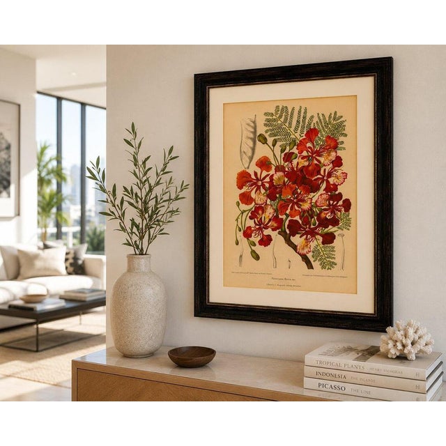 Hoola van Nooten, Royal Poinciana Botanical, 1880, Chromolithograph For Sale - Image 9 of 10