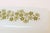 Vintage Pyrex Spring Blossom / "Crazy Daisy" Green Floral and Milk Glass Covered Butter Dish For Sale - Image 9 of 12