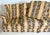English Late 20th Century Peter Guild Upholstery Fine English Fabric Upholstered Rolled Arm Sofa For Sale - Image 3 of 11