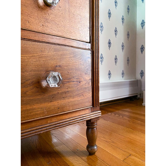 Antique Early 1800s Western Maryland Neoclassical Walnut Chest of Drawers For Sale - Image 12 of 14