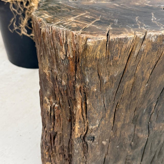 Large Dark Brown Reclaimed Tree Trunk Side Pedestal Table For Sale - Image 4 of 8