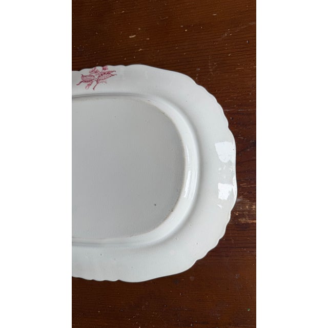 A Very Fine Antique Pink Transferware Decorated Staffordshire Pattern Platter "Asiatic Plants" Pattern, Circa 1840's For Sale - Image 9 of 11