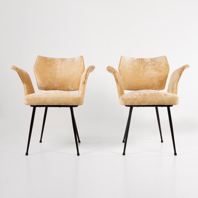 Velvet Chairs with Armrests,1960s, Set of 2 For Sale - Image 4 of 12