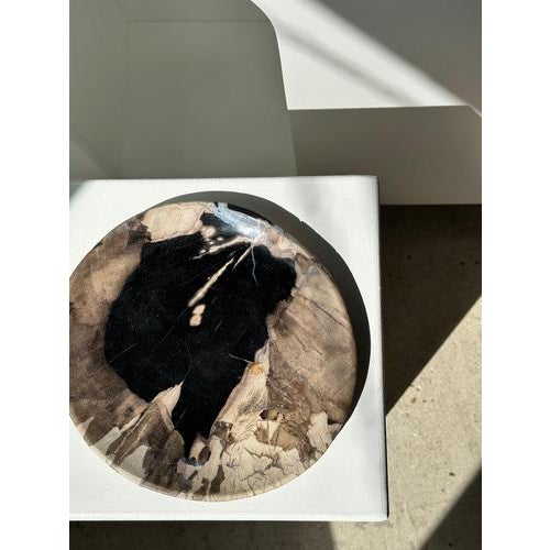 Large Vide-Poche or Dish in Petrified Wood For Sale - Image 17 of 18