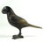 Metal Vintage Bronze Parrot Figurine For Sale - Image 7 of 8