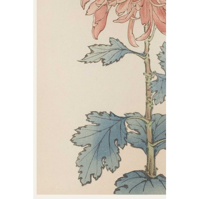 Pink Flower by Hasegawa, Vintage Japanese Botanical Art Print, 12" X 18" For Sale - Image 4 of 8