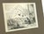 1836 Antique Monkey and Crows Engraving by William Daniell R.A. & Brandard, Framed For Sale - Image 4 of 8