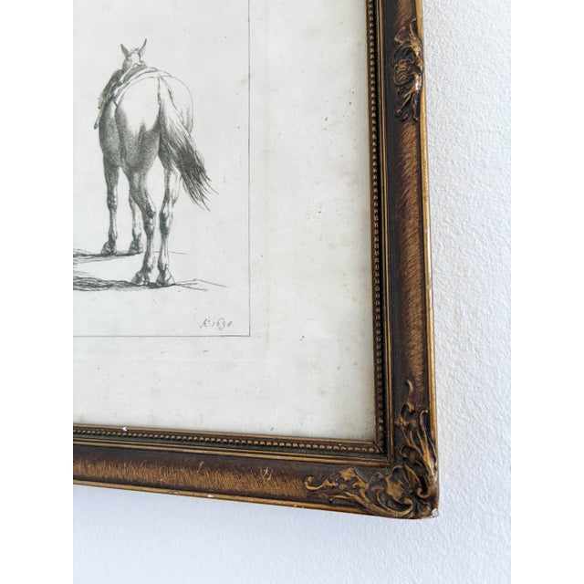 Antique Original Horse Etchings, Circa 1700: Framed Equestrian Prints - a Pair For Sale - Image 10 of 15