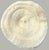 Coastal Pair Natural Plate Mushroom Coral Skeleton Specimens 6" & 7" Coastal Decor For Sale - Image 3 of 7