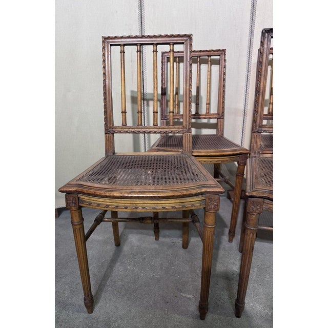 Brown Louis XVI Chairs in Carved Wood, Set of 4 For Sale - Image 8 of 9