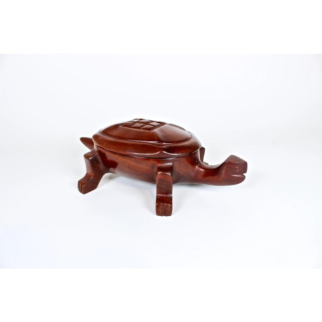 1950's Haitian Hand Carved Mahogany Turtle Trinket Box For Sale - Image 10 of 10