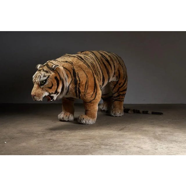 This charming and life-size tiger teddy, originally crafted as a toy for the children's room, is a testament to quality...