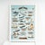 Venice Boats Poster, 1970s For Sale - Image 4 of 4