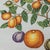 Vintage Needlework Fruit Branch Still Life – Rustic Textile Wall Art With Oranges and Berries For Sale - Image 4 of 8