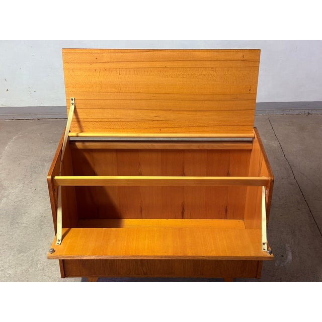 Wood Cabinet by Jiří Jiroutek for Interier Praha, 1960s For Sale - Image 7 of 9