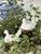 Ceramic Antique Porcelain Easter Chicks, 1900, Set of 4 For Sale - Image 7 of 11