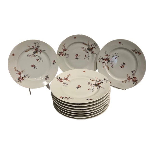 1900s Dinner Plate with Haviland pattern H1252 - 11pcs For Sale