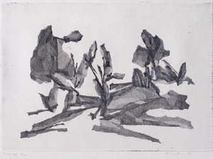 Fiorella Diamantini, Landscape, Etching, 1960s
