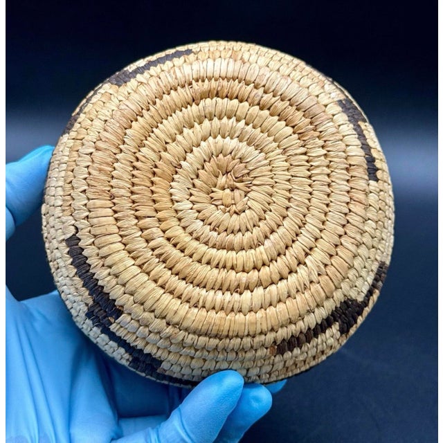 1930s 1930s Native American Papago Style Hand Woven Lidded Coil Basket. Tohono O’odham Style For Sale - Image 5 of 12