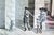 This is a piece of wallpaper that was salvaged from an historically important building erected in 1703 and demolished in...