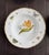 Early 21st Century Set of 10 Anna Weatherley Botanical Treasure Garden Rim Soup Bowl 8.75" For Sale - Image 5 of 17
