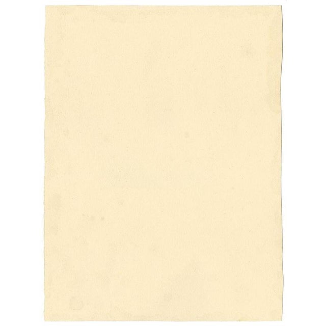 Stanley Reece, Himalayan Blue Poppy Flower, 1989, Watercolour For Sale - Image 3 of 4