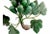 Green Carved Stone 8" Grape Cluster For Sale - Image 4 of 6