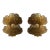 Contemporary Brass and Gold Murano Glass Palm Sconces, Italy - a Pair For Sale