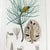 Antique "Conifères" Framed Botanical Etched Illustration, 1800's French Pine Tree Art For Sale In Boston - Image 6 of 14