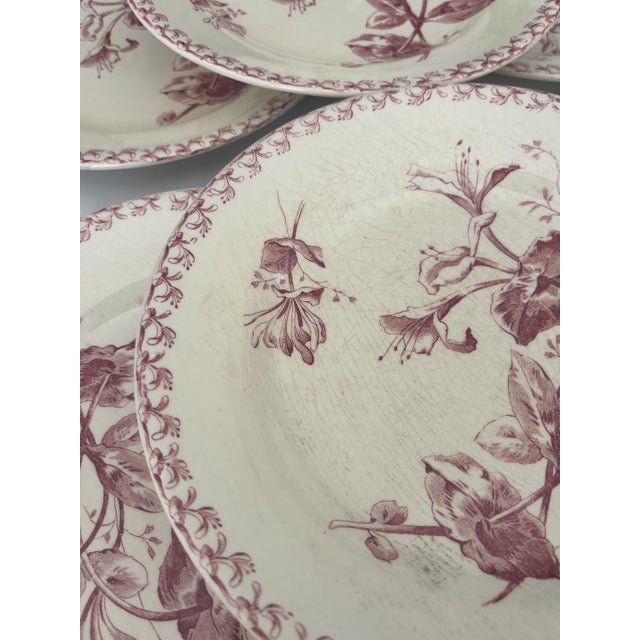 Gien Antique 19th Century Plates in Ironstone Red Honeysuckle and Earthenware from Gien, 1890s, Set of 6 For Sale - Image 4 of 8