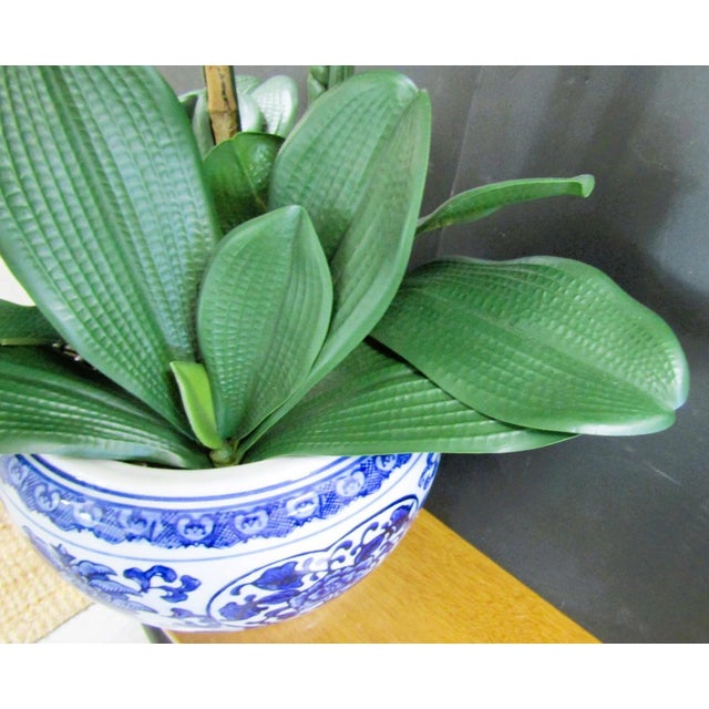 Textile Triple White Phalaenopsis Orchid in Blue White Asian Pot Arrangement For Sale - Image 7 of 12