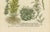 Mid 18th Century Johann Wilhelm Weinmann, Sedum and Succulent Plants, 1737, Engraving For Sale - Image 5 of 10