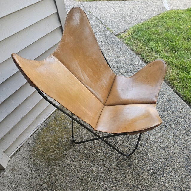 Mid-Century Modern 1960s Chairs Attributed to Hardoy BKF For Sale - Image 3 of 12