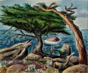 Arnold A. Grossman, California Coast with Cypress Tree