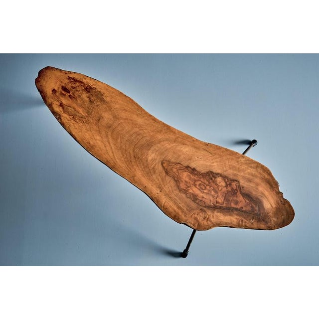 Tree Trunk Coffee Table by Werkstätte Carl Auböck, Austria, 1950s For Sale - Image 10 of 12
