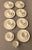 White 1960s Mid-Century Modern Wheat Grain 24 Piece Coffee Set Royal Copenhagen Denmark Thorkild Olsen For Sale - Image 8 of 13