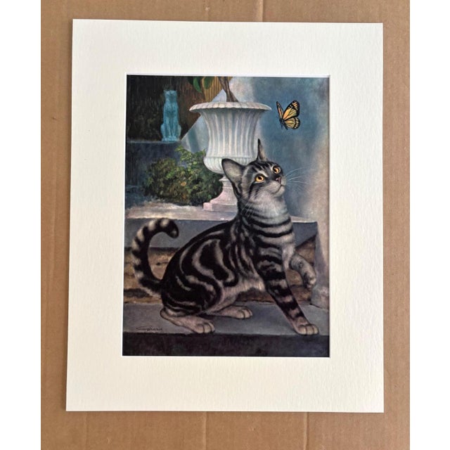 Realism Vintage 1965 Girard Goodenow Cat Print in 16x20 Mat Ready to Frame: Silver Tabby For Sale - Image 3 of 3