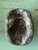 Vintage Italian Scagliola Pigmented Plaster Turtle Shell For Sale - Image 12 of 12
