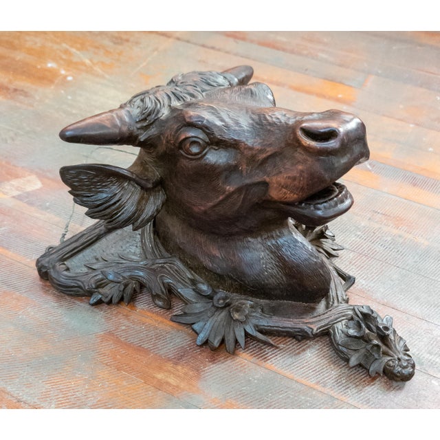 Rustic 19th Century German Carved Black Forest Walnut Head of a Bull Cow For Sale - Image 3 of 18