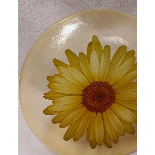 1950s Rare Orchidea Bomboniere Daisy Dinner‎ Plate Yellow Textured Clear Blown Glass Nostalgia Hippie For Sale - Image 9 of 9