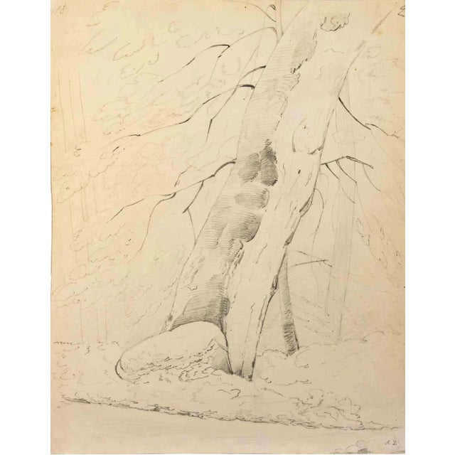Tree of Life is a Pencil Drawing realized by Alphonse Legros (1837-1911). Good condition on a yellowed paper. Monogrammed...