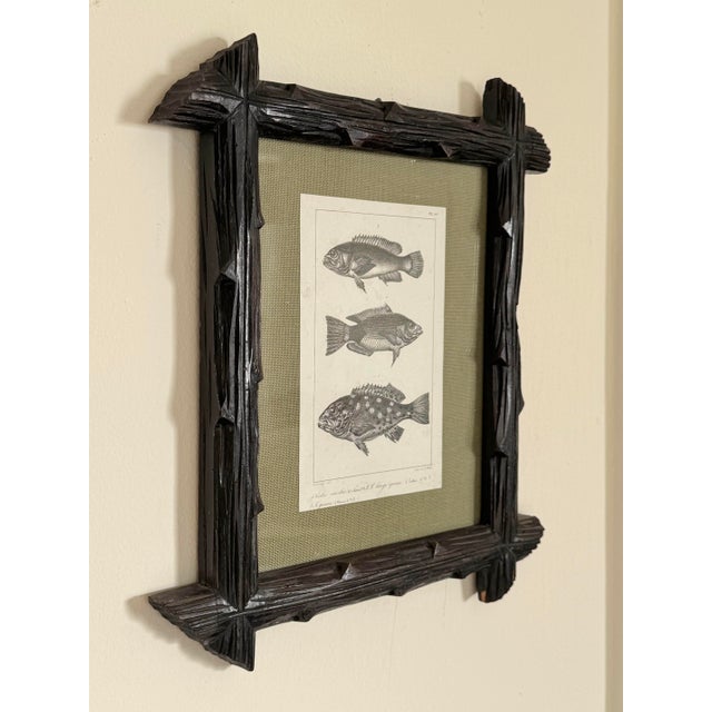 Early 19th Century Black Forest Framed C. Motte Fish Engraving, on Grasscloth For Sale - Image 4 of 8