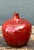 Vintage Sang De Bouf Red Glazed Ceramic Vase For Sale - Image 11 of 12