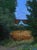 1990s Joseph Keiffer "Moonrise, Early Summer" Acrylic For Sale - Image 5 of 10