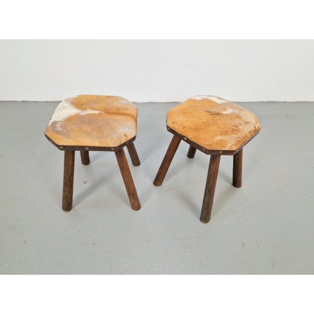 Set of 2 vintage stools with cowhide milk stools from the 1950s Wooden stool with plant table from the mid-century...