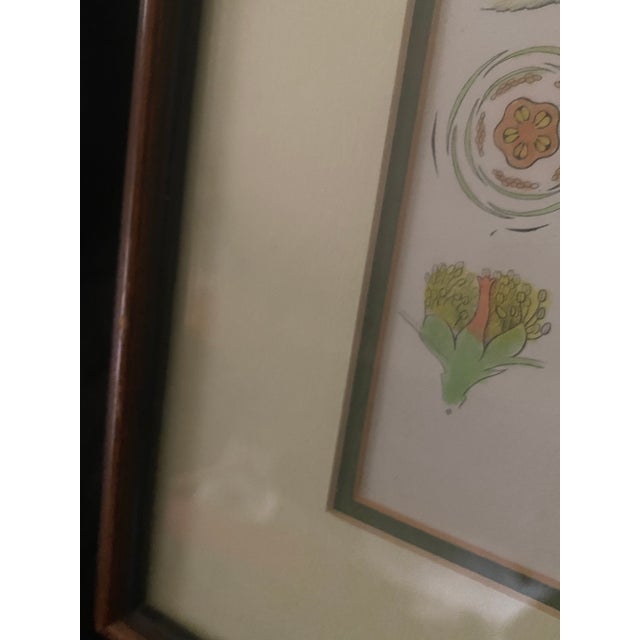Early 19th Century Vintage Mid-Century Mark Catesby "The Balsam Tree" Framed Botanical Print, 1950s For Sale - Image 5 of 12