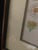 Early 19th Century Vintage Mid-Century Mark Catesby "The Balsam Tree" Framed Botanical Print, 1950s For Sale - Image 5 of 12