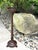 Wood Antique, Turned Mahogany Display/Plant/Candle Stand, W/Carved Leaf Base and Clawed Feet, Circa 1890s For Sale - Image 7 of 12