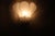 Hand Blown Ice Glass Wall Light by J. T. Kalmar, Germany, 1960s For Sale - Image 11 of 14