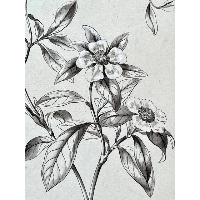 Mid 19th Century Original Antique Botanical Watercolor and Ink Painting by A. G. Weiss Circa 1865 For Sale - Image 5 of 8